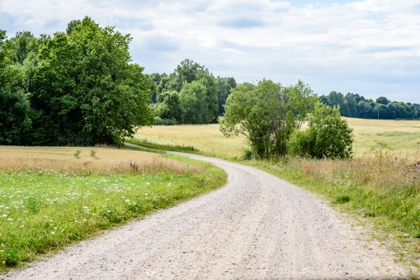 Cost of Stone Driveway Repair in Waterford