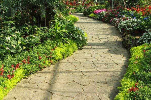 Cost of Stone Pathway Service in Waterford