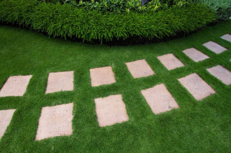 Backyard Paver Projects
